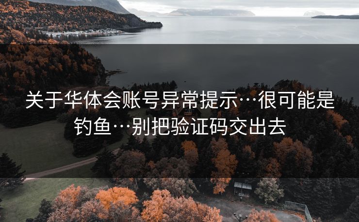 关于华体会账号异常提示…很可能是钓鱼…别把验证码交出去