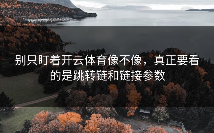 别只盯着开云体育像不像，真正要看的是跳转链和链接参数